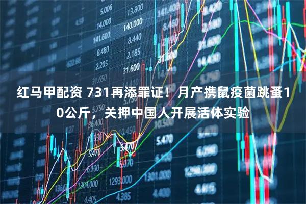 红马甲配资 731再添罪证！月产携鼠疫菌跳蚤10公斤，关押中国人开展活体实验