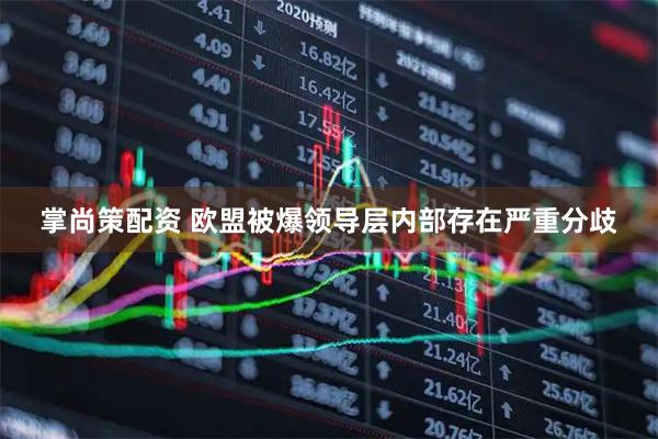 掌尚策配资 欧盟被爆领导层内部存在严重分歧